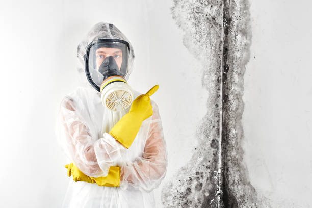 Best Industrial Mold Remediation  in Genoa, OH