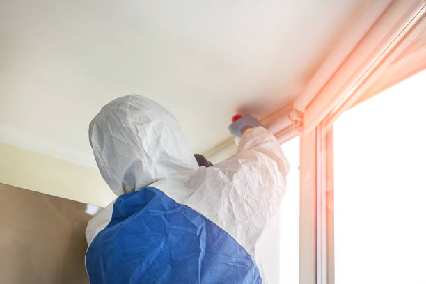 Best Mold Remediation for Healthcare Facilities  in Genoa, OH